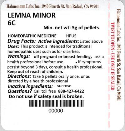 Lemna Minor 6C 5g - Lemna Minor 6C 5g